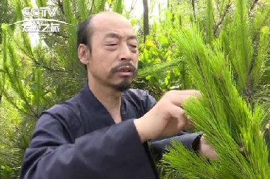 萧理龙道长